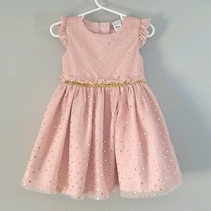 Carter's formal dress, 18m